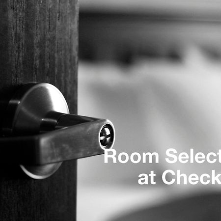 Hotel Maxim Božava Pokój zdjęcie